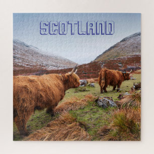 Highland cows  Jigsaw Puzzle