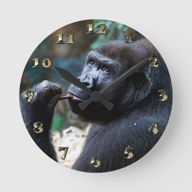 Highland Gorilla - Picking Teeth Round Clock (Front)