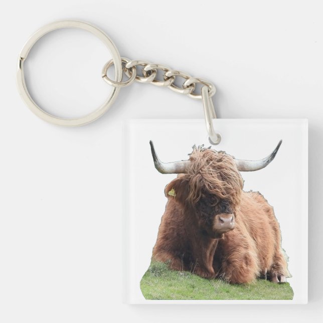 Highland "Moo" Cow  Keychain (Front)