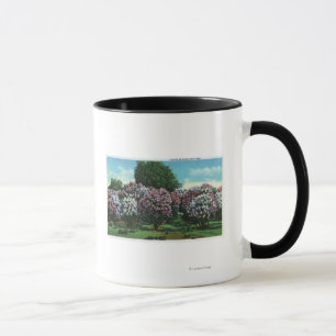 Highland Park Lilacs in Bloom Mug