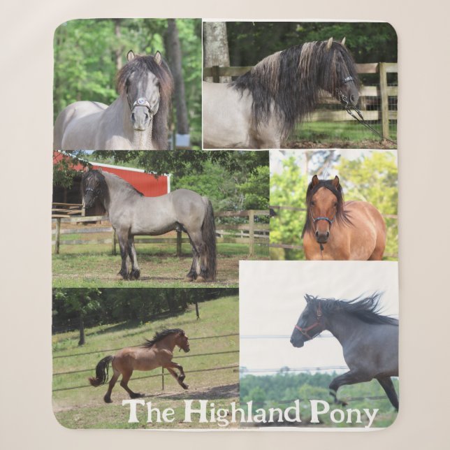 Highland Pony Blanket (Front)