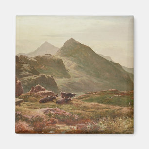 Highland scene magnet