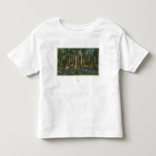 Highlands County, FL - View of Highlands Hammock Toddler T-shirt