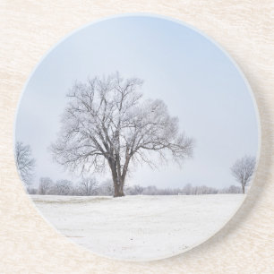 Highlighted Winter Oak Tree Coaster