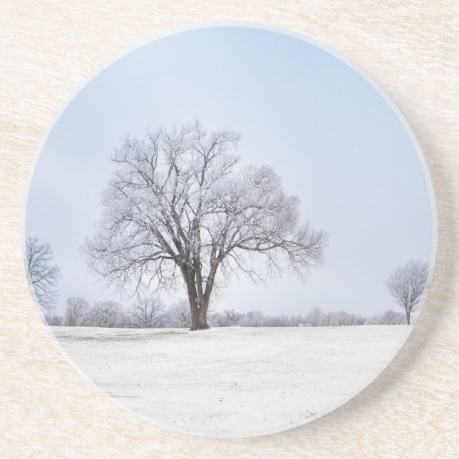 Highlighted Winter Oak Tree Coaster (Front)