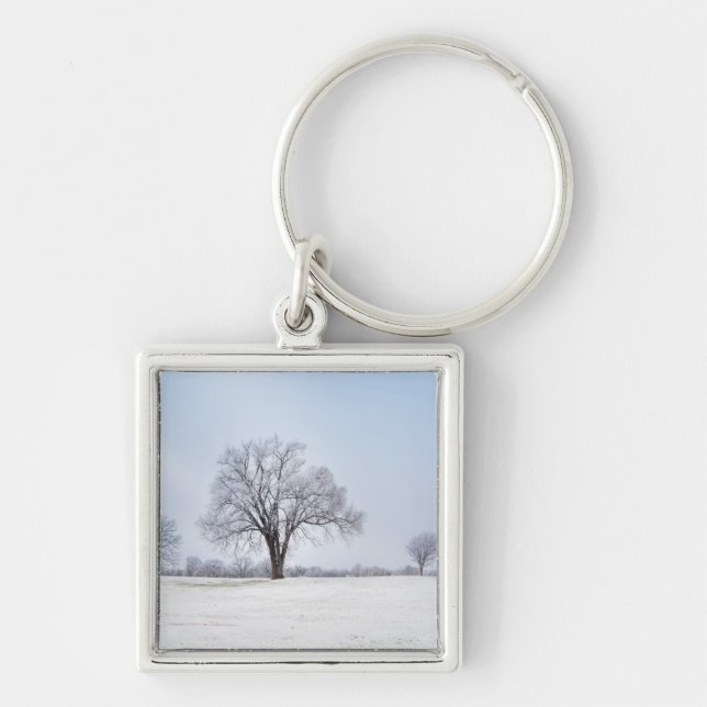 Highlighted Winter Oak Tree Keychain (Front)