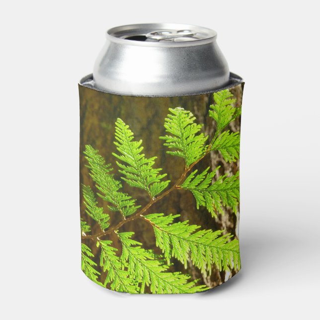 Highlights of a Redwood Tree Botanical Can Cooler (Can Front)