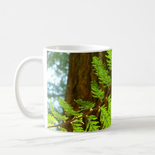 Highlights of a Redwood Tree Botanical Coffee Mug (Left)