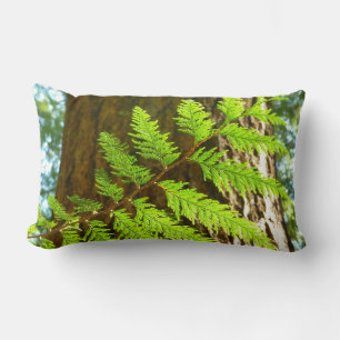 Highlights of a Redwood Tree Botanical Lumbar Pillow
