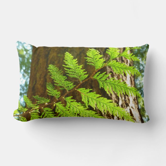 Highlights of a Redwood Tree Botanical Lumbar Pillow (Front)