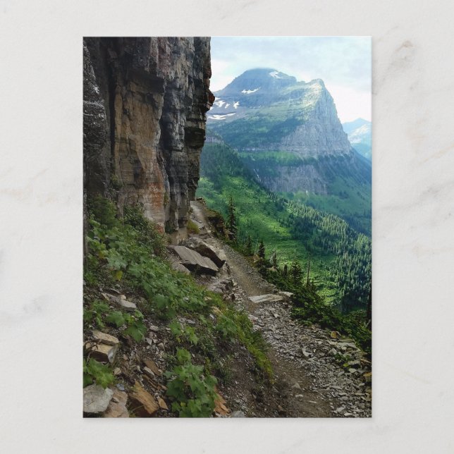 Highline Trail Glacier National Park Montana Postcard (Front)
