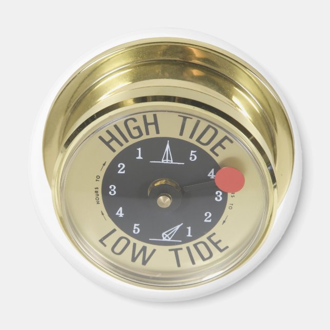 HighTideMeter120709 copy Magnet (Front)