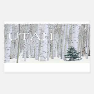 Highway 1 Carmel California Sticker