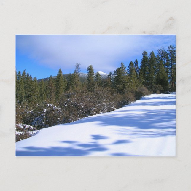 Hike to Hager Mountain Fire Lookout Postcard (Front)