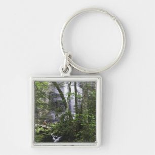 Hiker admires Falls Branch Falls Keychain