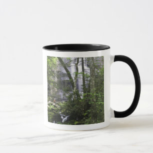 Hiker admires Falls Branch Falls Mug