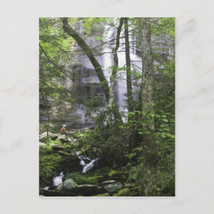 Hiker admires Falls Branch Falls Postcard