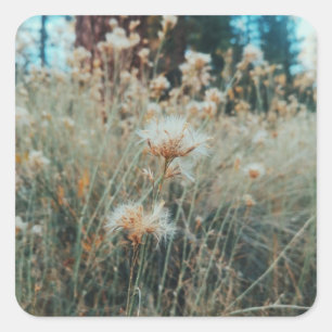 Hiking in Big Bear  Square Sticker