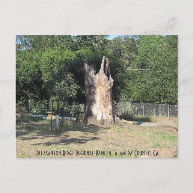 Hiking in Pleasanton, CA 6 Postcard (Front)