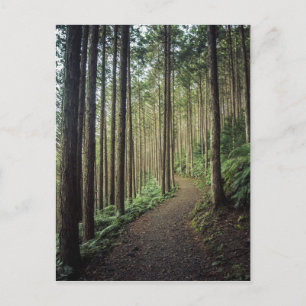 Hiking in the Mountains Wakayama, Japan Postcard