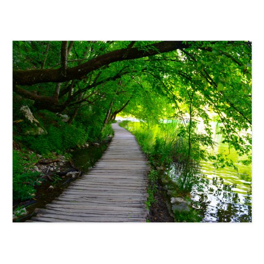 Hiking Path in Plitvice National Park in Croatia Postcard
