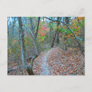 Hiking Right Up The Hill Postcard