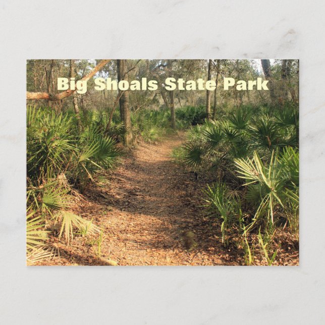 Hiking Trail, Big Shoals State Park, Florida Postcard (Front)