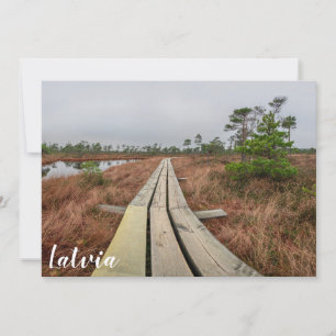 Hiking trail in swamp
