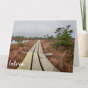 Hiking trail in swamp card