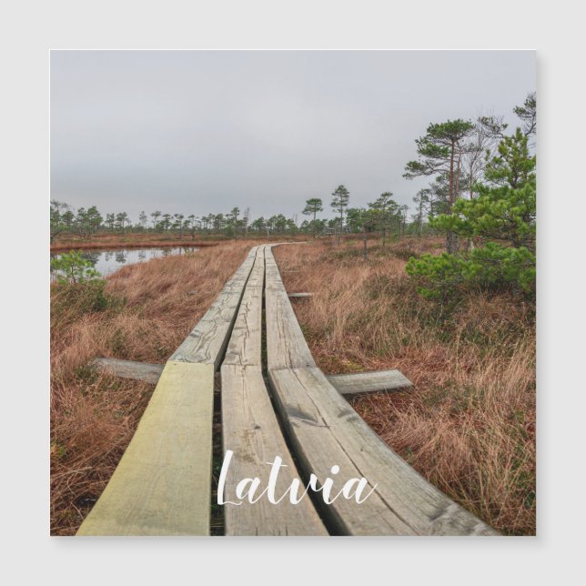 Hiking trail in swamp magnet (Front)