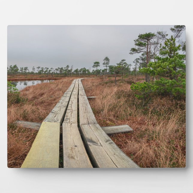 Hiking trail in swamp plaque (Front)