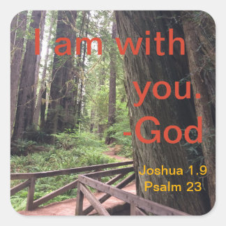 Hiking Trail Olympic National Park Square Sticker