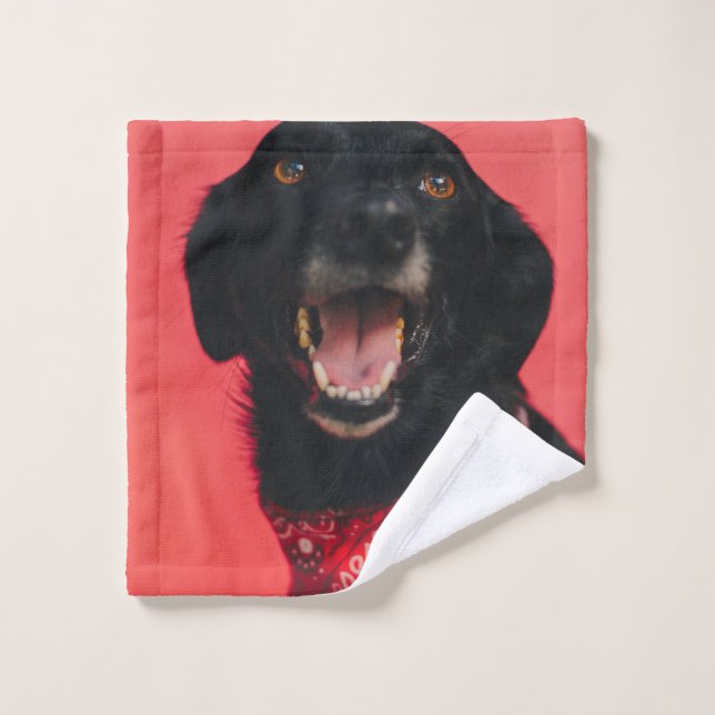 Hilarious Black Lab on Red Background Smile Wash Cloth (Wash Cloth)