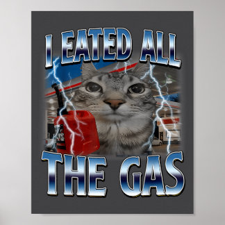 Hilarious Cat Eated Lover Cat Gas I All Silly Sayi Poster