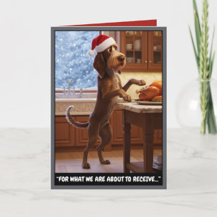 Hilarious Italian Spinone Christmas Card