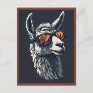 Hilarious Llama  Postcard