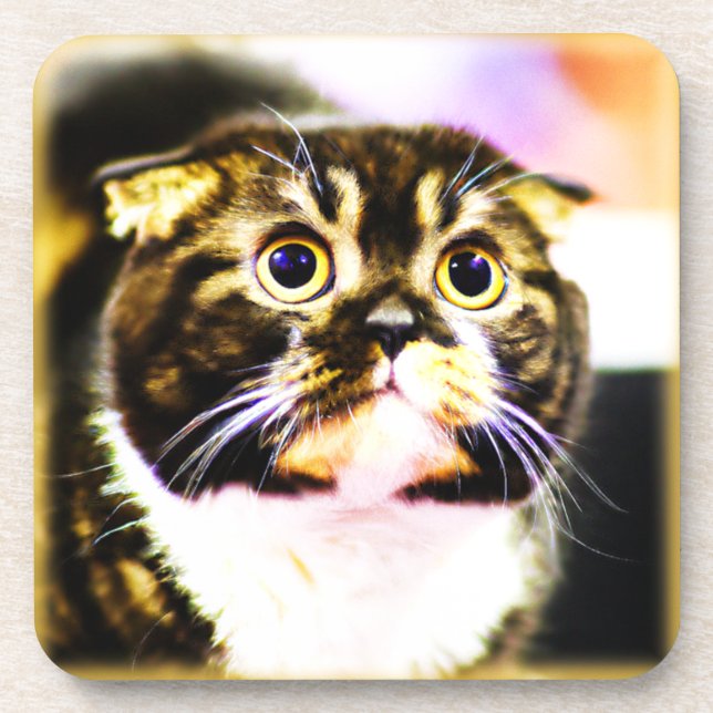Hilarious Photo of a Funny Cat. Buy Now Coaster (Front)