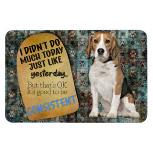 Hilarious thought from your Beagle Magnet