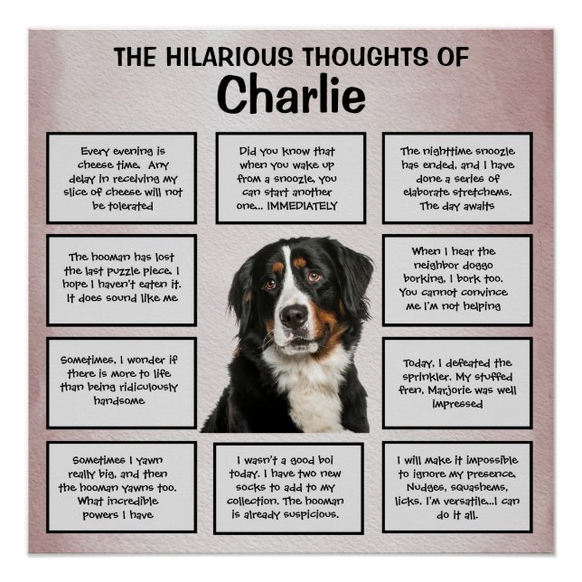 Hilarious thoughts of my Bernese Mountain Dog Poster (Front)