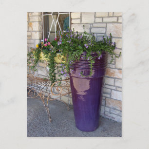 Hill Country Sidewalk Postcard