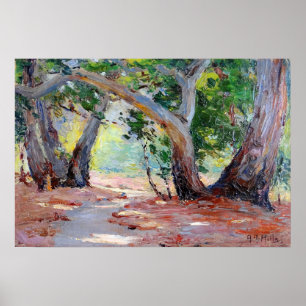 Hills - Sunshine Shadow Orange County Park Poster