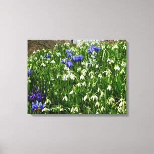 Hillside of Early Spring Flowers Landscape Canvas Print