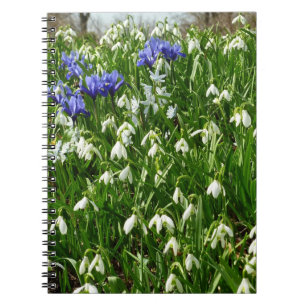 Hillside of Early Spring Flowers Landscape Notebook