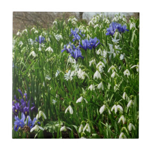 Hillside of Early Spring Flowers Landscape Tile