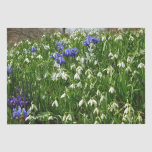 Hillside of Early Spring Flowers Landscape Tissue Paper