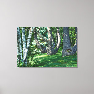 Hillside Trees Canvas Print