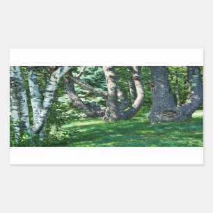 Hillside Trees Sticker