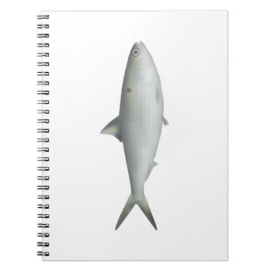 Hilsa Shad Notebook