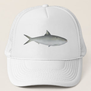 Hilsa Shad Trucker Hat