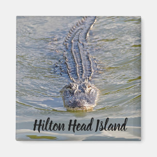 Hilton Head Alligator Magnet